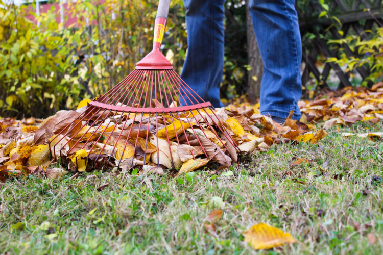 Teilservice Gartenpflege